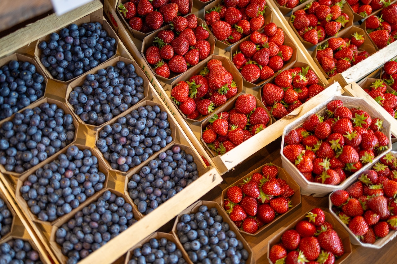 erdbeeren-suedtirol-jelerhof